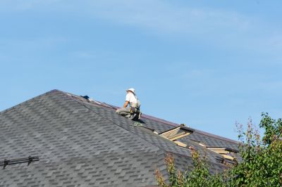 Professional Roof Repair Team